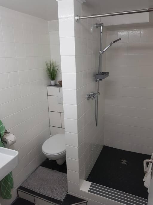 Ferienwohnung Bela, Naehe Nuerburgring Luxem Esterno foto